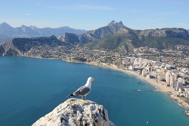 Qu'est-ce qui est mieux, Benidorm ou Alicante?